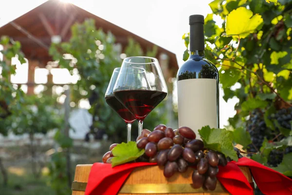 Composizione Con Vino Uve Mature Botte Vigneto — Foto Stock