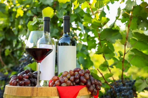 Composizione Con Vino Uve Mature Botte Vigneto — Foto Stock