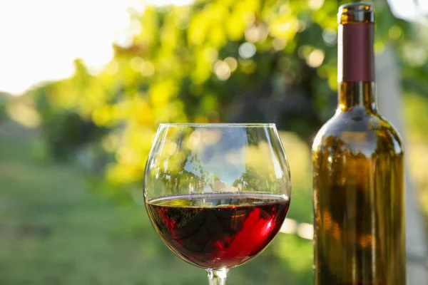 Μπουκάλι Και Ποτήρι Κόκκινο Κρασί Στον Αμπελώνα Closeup — Φωτογραφία Αρχείου