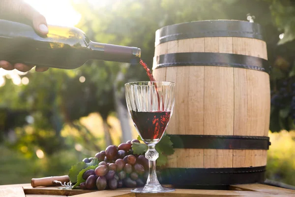 Uomo Versando Vino Dalla Bottiglia Nel Bicchiere Vigna Primo Piano — Foto Stock