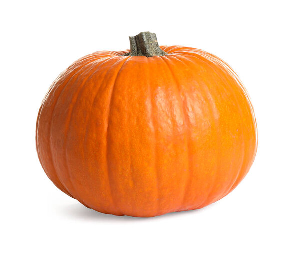 Свежая созревшая тыква, изолированная на белом. Органические растения