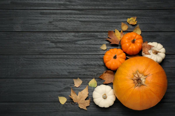 Verse Rijpe Pompoenen Herfstbladeren Zwarte Houten Tafel Plat Gelegd Ruimte — Stockfoto