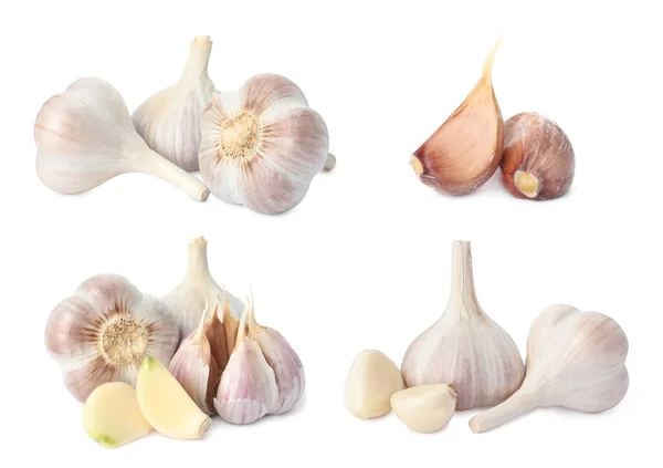 Set Garlic Bulbs Cloves White Background — Stock Photo, Image