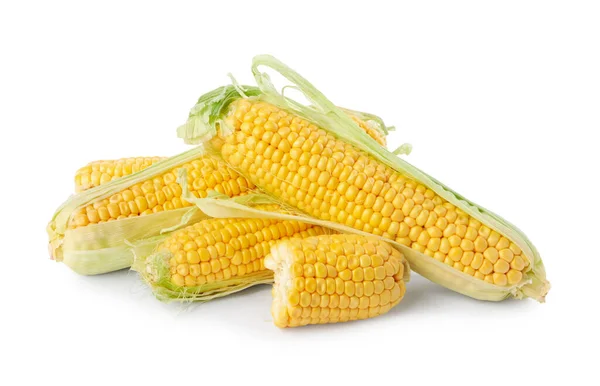 Ripe Raw Corn Cobs White Background — Stock Photo, Image