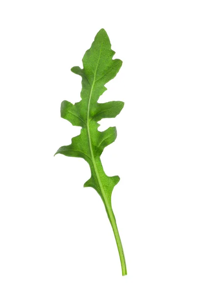 Feuille Roquette Fraîche Isolée Sur Blanc — Photo