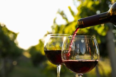 Şarap şişeden bardağa dökülüyor.