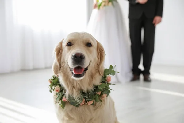 結婚式で美しい花で作られた花輪を身に着けている愛らしい黄金の取得 — ストック写真