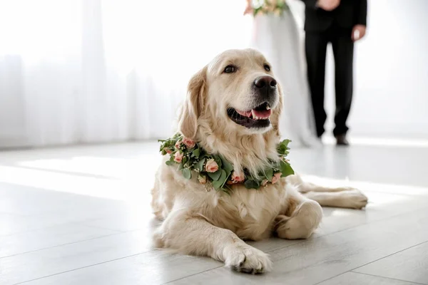 結婚式で美しい花で作られた花輪を身に着けている愛らしい黄金の取得 — ストック写真