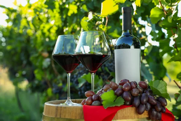 Composizione Con Vino Uve Mature Botte Vigneto — Foto Stock
