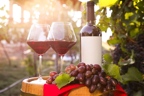 Composizione Con Vino Uve Mature Botte Vigneto — Foto Stock