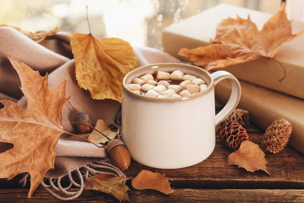 Tasse Heißgetränk Mit Marshmallows Büchern Und Herbstblättern Fenster Regentagen Gemütliche — Stockfoto