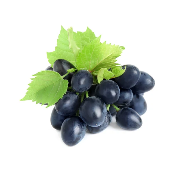 Bunch Dark Blue Grapes Green Leaves Isolated White — Stock Photo, Image