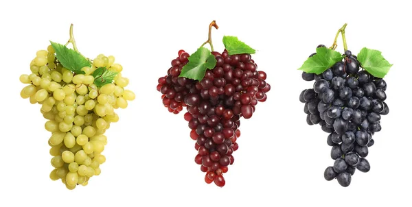 Zestaw Świeżych Winogron Białym Tle Projekt Banera — Zdjęcie stockowe