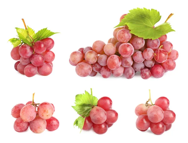 Zestaw Świeżych Winogron Białym Tle — Zdjęcie stockowe