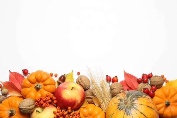 Platte Lay Compositie Met Rijpe Pompoenen Herfstbladeren Witte Achtergrond Ruimte — Stockfoto