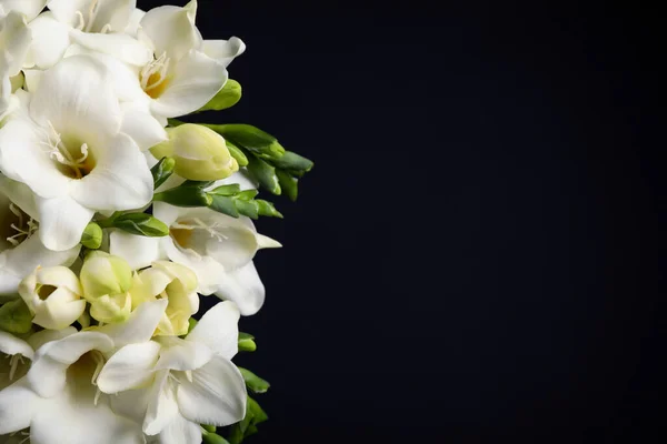 Mooie Freesia Bloemen Zwarte Achtergrond Close Ruimte Voor Tekst — Stockfoto