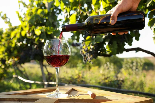 Uomo Versando Vino Dalla Bottiglia Nel Bicchiere Vigna Primo Piano — Foto Stock