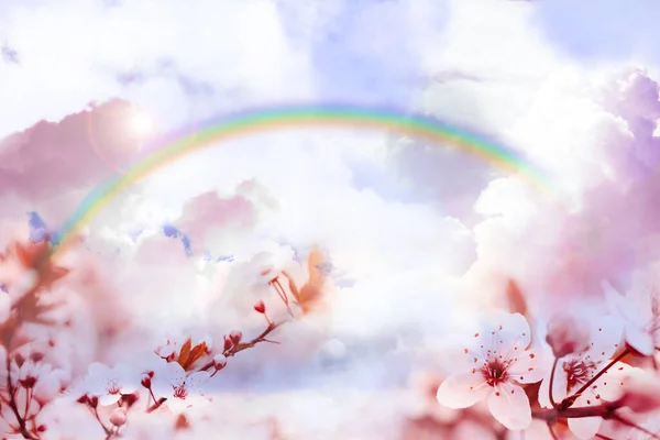 Фантастичний Світ Прекрасна Веселка Небі Пухнастими Хмарами Над Квітучим Вишневим — стокове фото