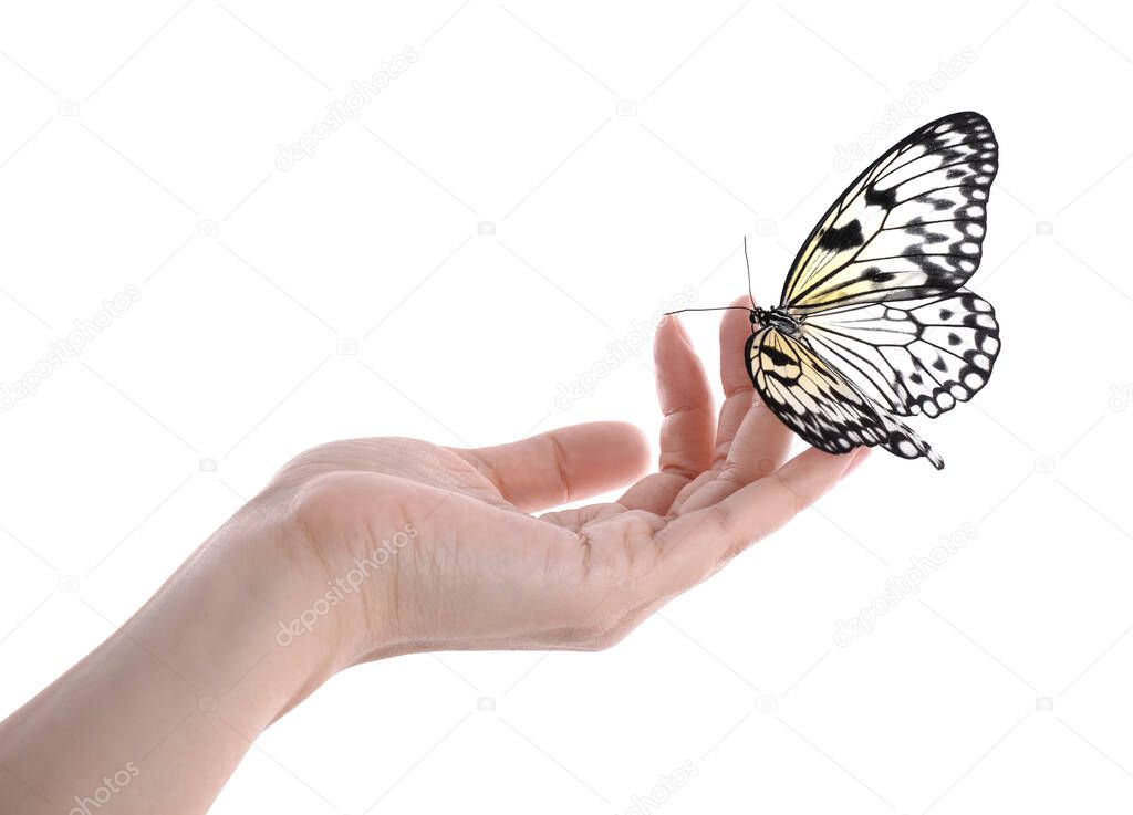 Woman holding beautiful rice paper butterfly on white background, closeup