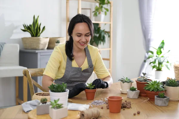 Mujer Madura Maceta Planta Suculenta Casa Interesante Hobby — Foto de Stock