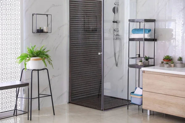 Salle Bain Intérieure Avec Cabine Douche Comptoir Idée Design — Photo