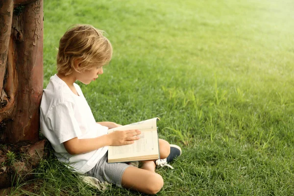 Lindo Niño Leyendo Libro Sobre Hierba Verde Cerca Del Árbol — Foto de Stock