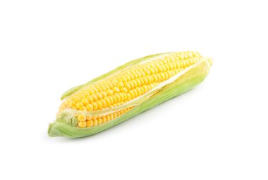 Beyaz kabuklu olgun çiğ mısır koçanı.