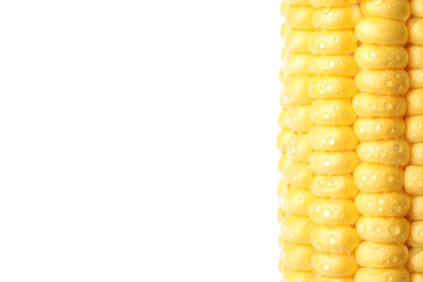 Ripe Raw Corn Cob Water Drops White Background Closeup — Stock Photo, Image