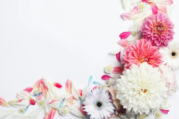 Όμορφη Dahlia Και Λουλούδια Gerbera Λευκό Φόντο Επίπεδη Lay Χώρος — Φωτογραφία Αρχείου
