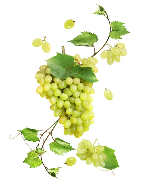 新鲜成熟的葡萄 绿叶落在白色的背景上 — 图库照片