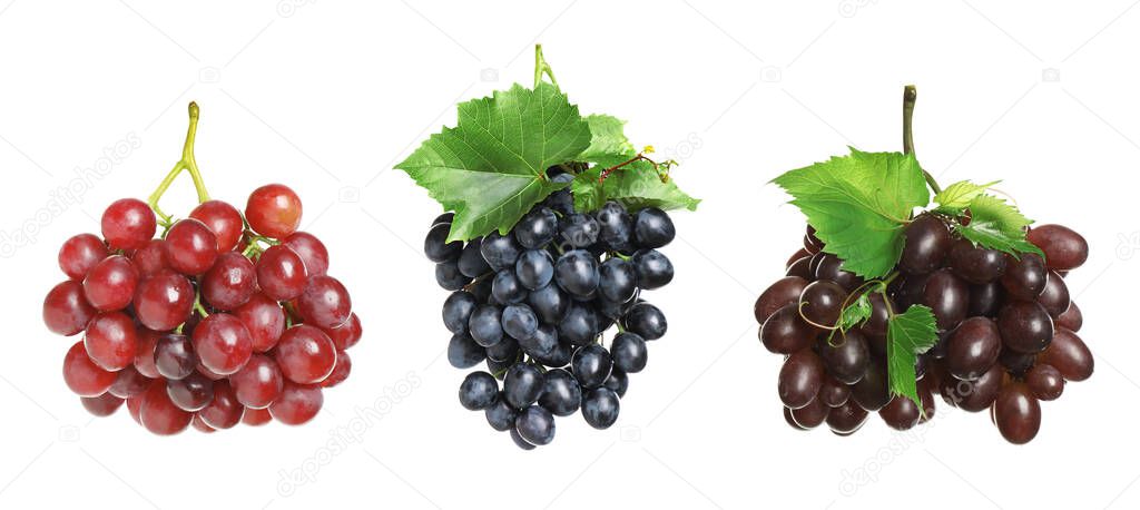 Set of fresh grapes on white background. Banner design