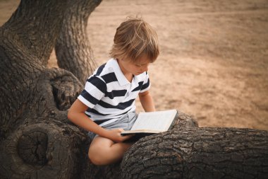 Parkta ağaçta kitap okuyan şirin bir çocuk.