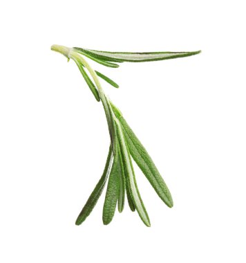 Taze biberiye beyazda izole edilmiş. Sıcak şarap malzemesi.