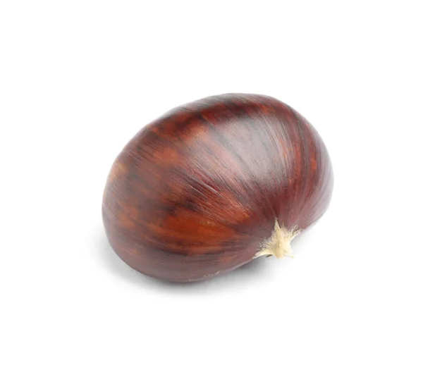 Fresh Sweet Edible Chestnut Isolated White — Stock Photo, Image