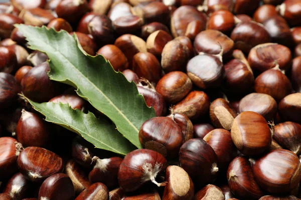 Fresh edible sweet chestnuts as background, closeup