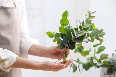 Çiçekçi, çiçekçide okaliptüs dallarından güzel bir buket yapıyor.