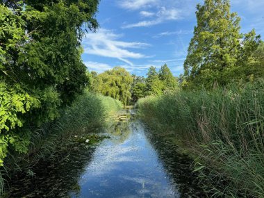 Yazın parktaki güzel ağaçlar ve nehirler
