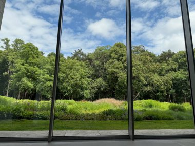 Güzel yeşil ağaçlar ve mavi gökyüzünün altındaki diğer farklı bitkiler, panoramik pencerelerden bakıyorlar.