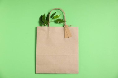 Çevre dostu ambalaj. Kese kağıdı, etiketler ve yapraklar açık yeşil arka planda, düz yerde. Metin için boşluk