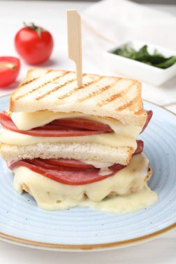 Eritilmiş peynirli lezzetli sandviç, yakın plan.