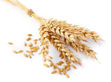 Beyaza izole edilmiş buğday başakları ve tohumlar