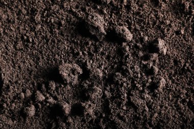 Arka plan olarak taze toprak, üst manzara. Organik madde