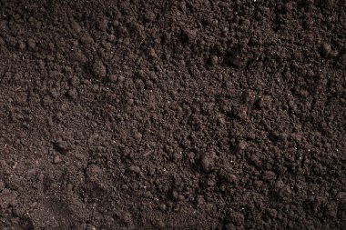 Arka plan olarak taze toprak, üst manzara. Organik madde