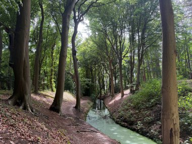 Parkta güzel yeşil ağaçlar ve kanallar