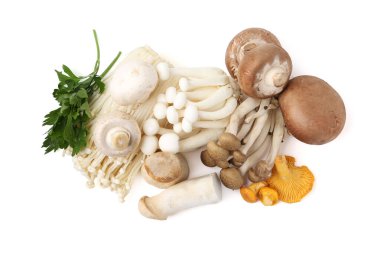 Farklı çiğ mantarlar ve maydanozlar.