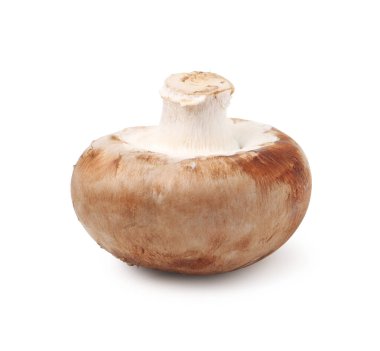 Beyaz tenli taze bir şampiyon.