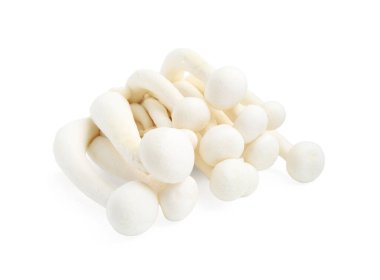 Beyaz üzerinde izole edilmiş taze shimeji mantarları kümesi