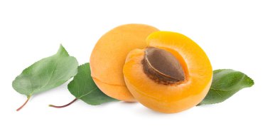 Taze kayısılar ve yeşil yapraklar beyaz üzerine izole edilmiş.