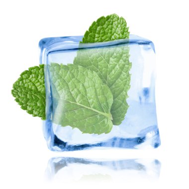 Beyaz zemin üzerinde temiz buz küpünün içindeki taze nane yaprakları