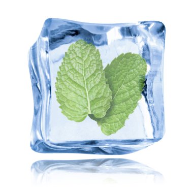 Beyaz zemin üzerinde temiz buz küpünün içindeki taze nane yaprakları